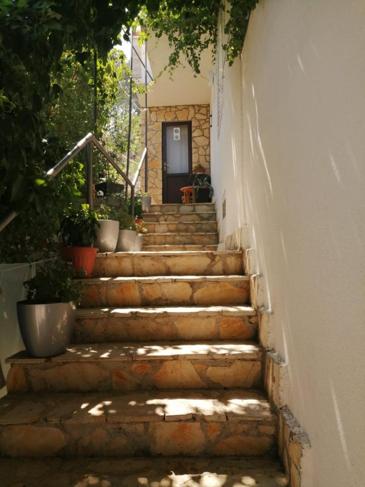 Mala Basina -Maslina Apartment Vrbanj Exterior foto