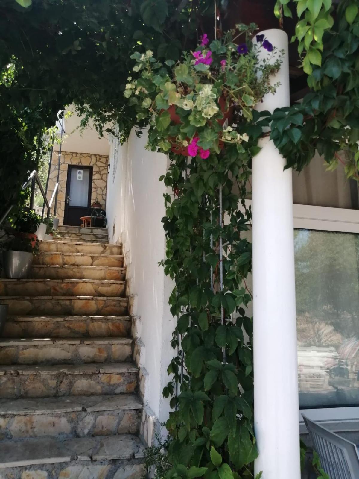 Mala Basina -Maslina Apartment Vrbanj Exterior foto